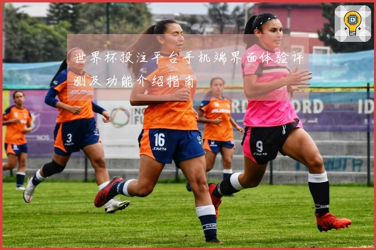 世界杯投注平台手机端界面体验评测及功能介绍指南