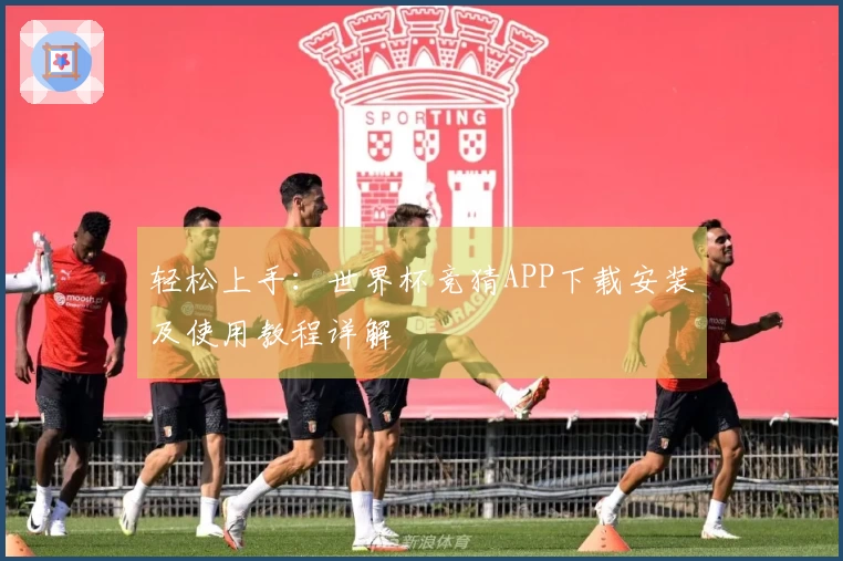 轻松上手:世界杯竞猜APP下载安装及使用教程详解