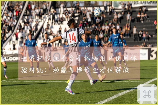 世界杯投注平台手机端用户使用体验对比：功能与操作全方位解读