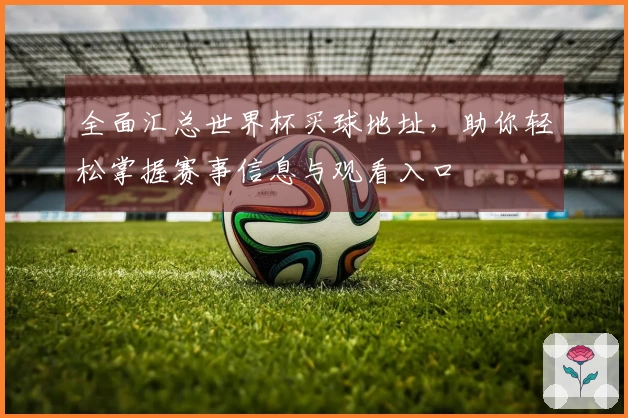 全面汇总世界杯买球地址，助你轻松掌握赛事信息与观看入口