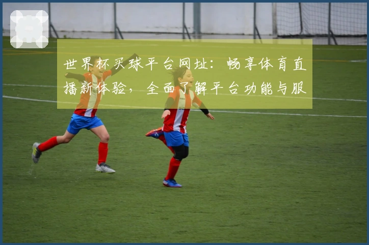 世界杯买球平台网址：畅享体育直播新体验，全面了解平台功能与服务动态