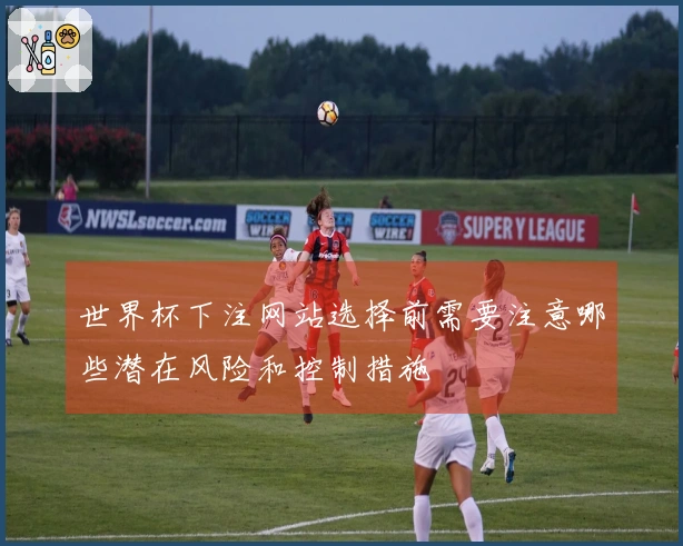 世界杯下注网站选择前需要注意哪些潜在风险和控制措施