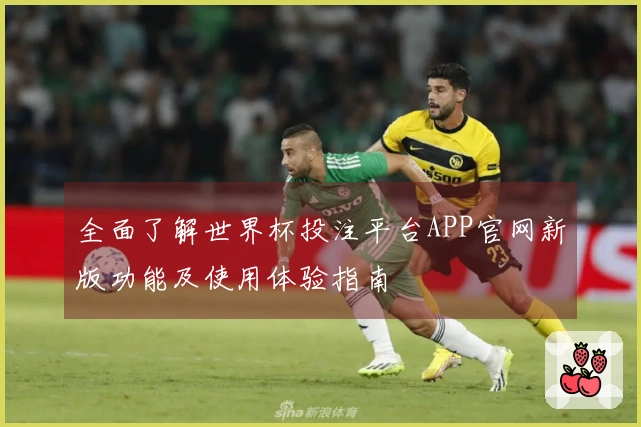 全面了解世界杯投注平台APP官网新版功能及使用体验指南