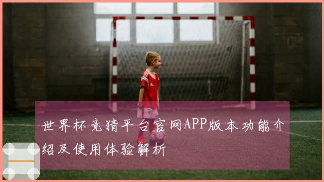 世界杯竞猜平台官网APP版本功能介绍及使用体验解析