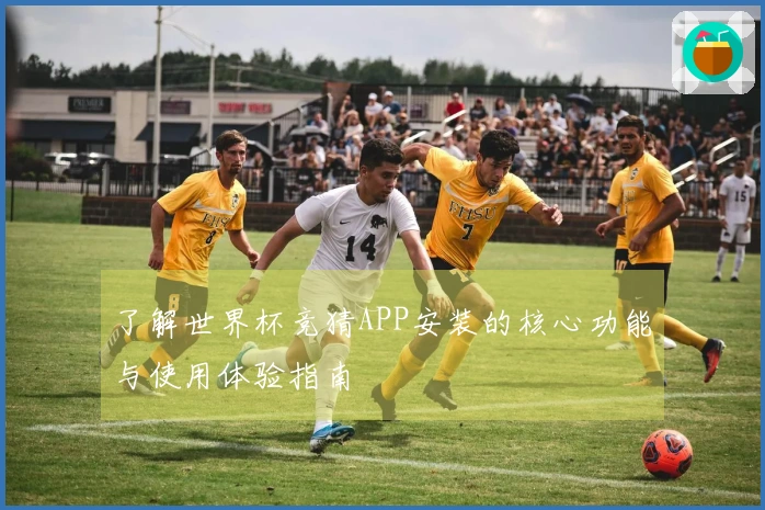 了解世界杯竞猜APP安装的核心功能与使用体验指南