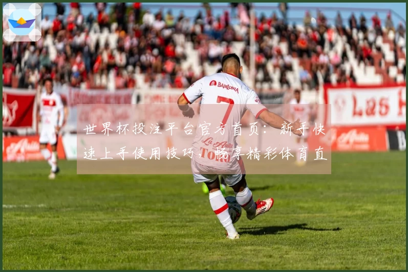 世界杯投注平台官方首页:新手快速上手使用技巧,畅享精彩体育直播体验